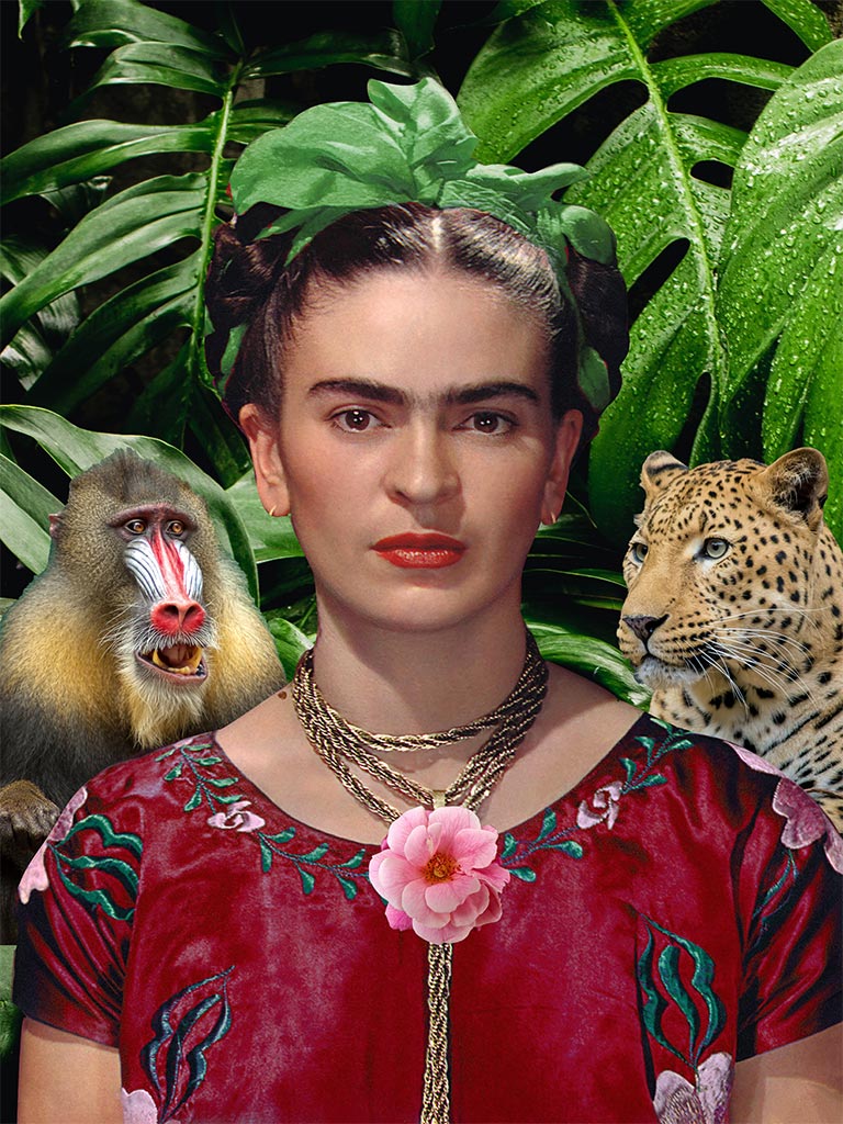 C-Frida-OPTI